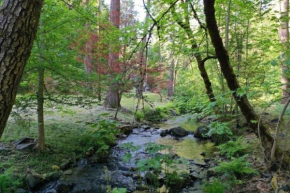 Charming cabin with private creek